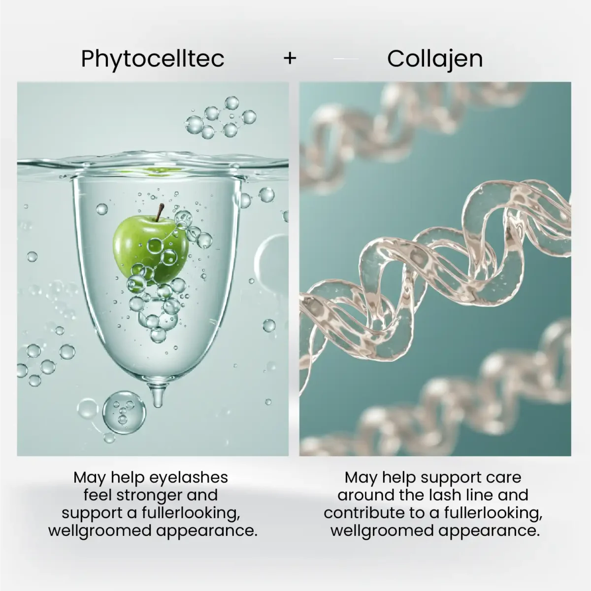 Ingredient highlight visual with PhytocellTec and Collagen – HairMD Eyebrow & Eyelash Serum