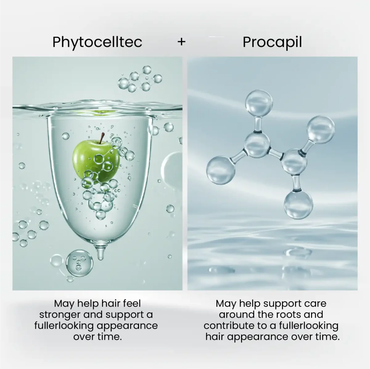 Ingredient highlight visual with PhytocellTec and Procapil – HairMD Hair Repair Serum