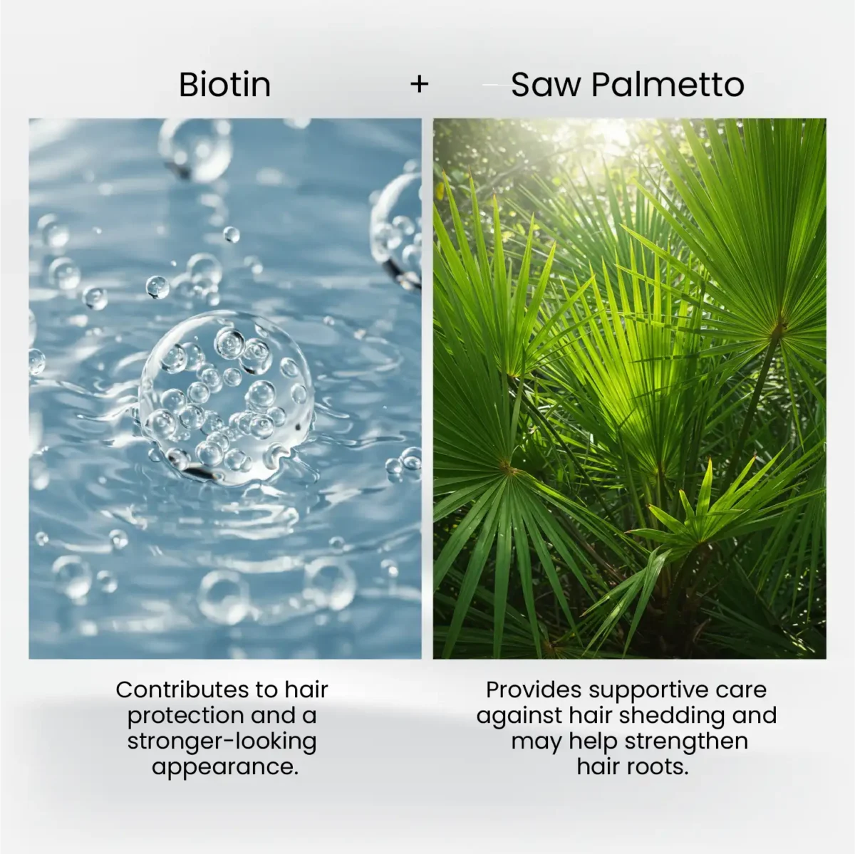 Biotin bubble graphic and Saw Palmetto plant visual side by side