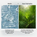 Biotin bubble graphic and Saw Palmetto plant visual side by side