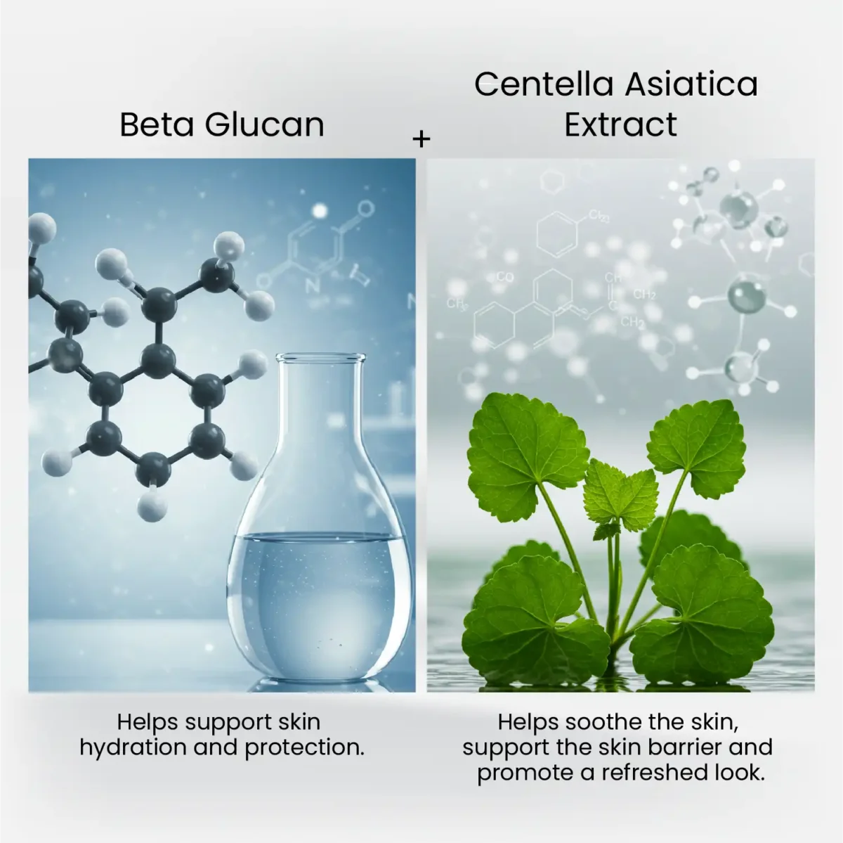 Beta‑Glucan molecule and Centella Asiatica leaves shown as key ingredients