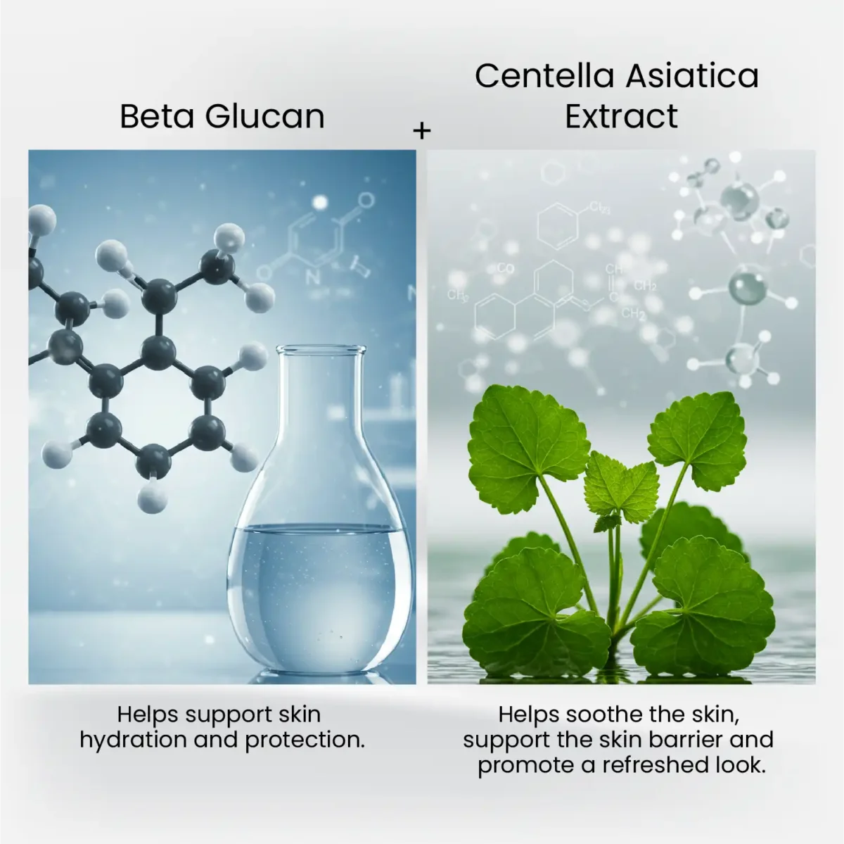 Beta‑Glucan science visual and Centella Asiatica leaves presented as featured actives