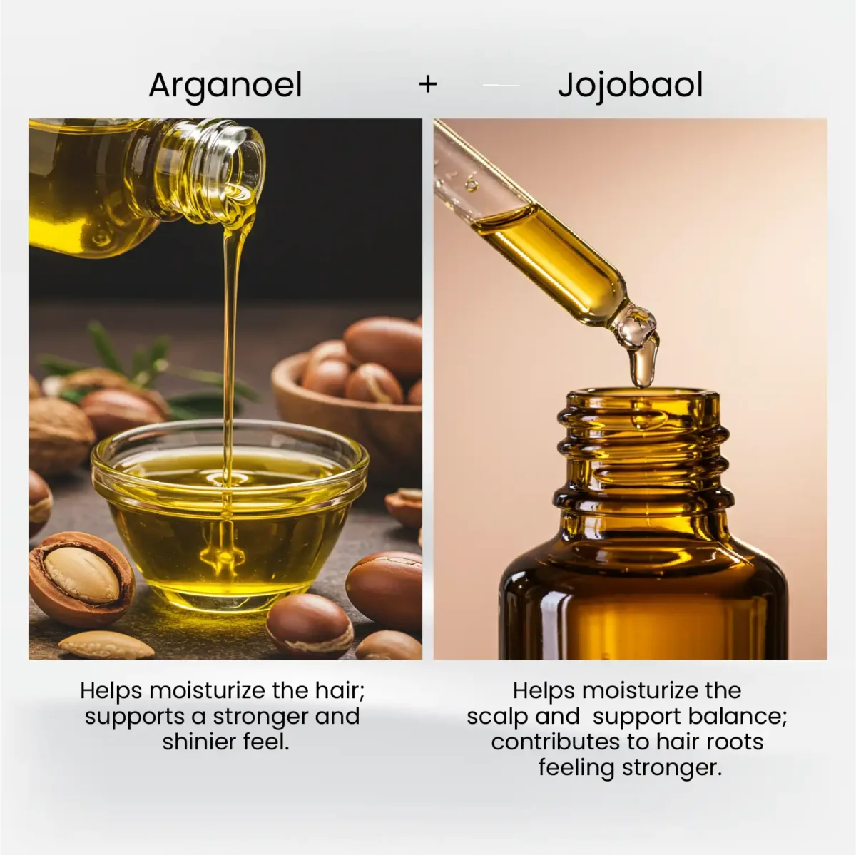 Argan oil and jojoba oil visuals featured in HairMD Styling & Repair Conditioner