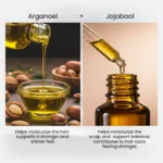 Argan oil and jojoba oil visuals featured in HairMD Styling & Repair Conditioner