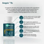Benefit callouts for MD‑Plus Ultra Hair Multivitamin with Anagain Nu, biotin, keratin, horsetail extract