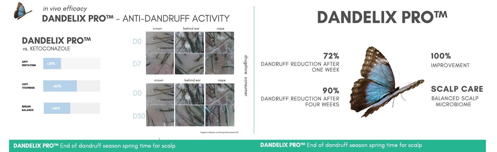 Dandelix-pro-hairmd | Hairmd Clinical Series Products