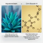 Aquacacteen cactus visual and Cm‑Glucan H molecule graphic side by sidev