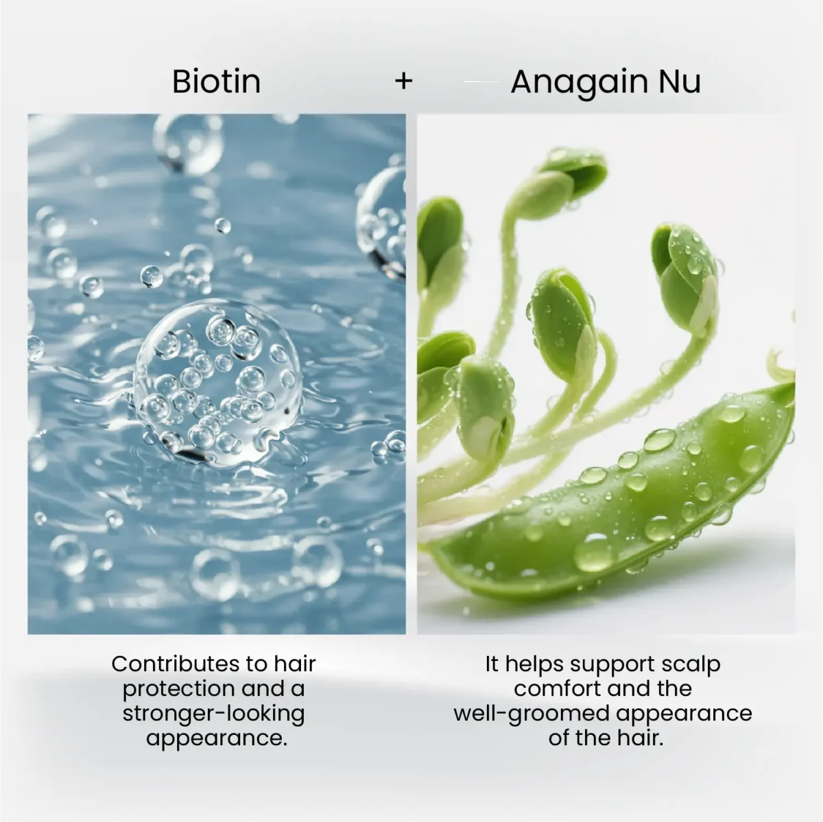 Biotin and Anagain Nu visuals used in MD‑Plus Ultra Hair Multivitamin